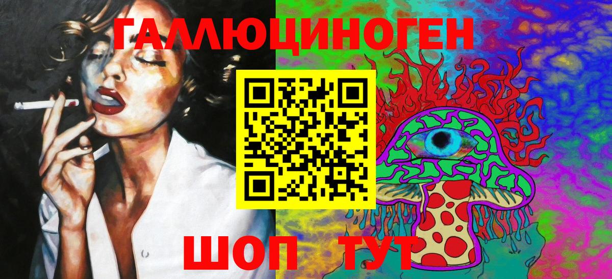 Псилоцибиновые грибы Psilocybine cubensis Прохладный