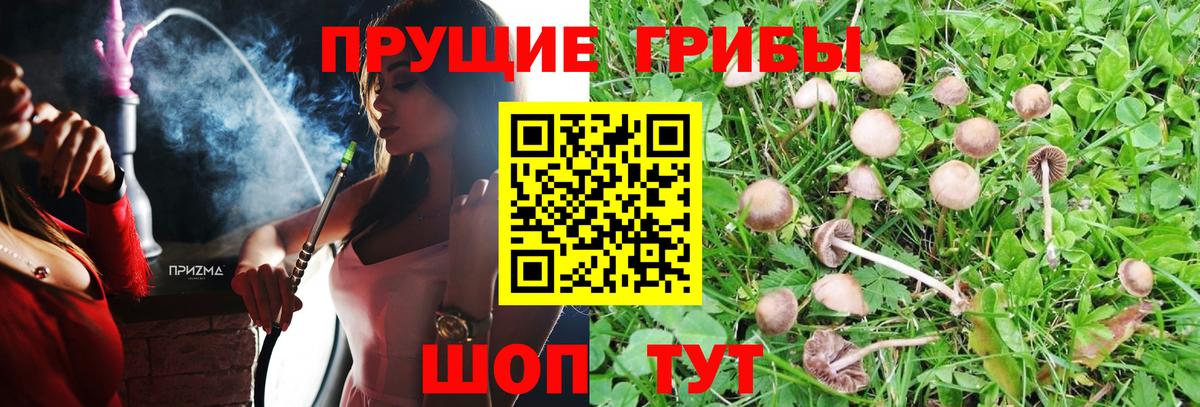 Прохладный  Галлюциногенные грибы Magic Shrooms  Псилоцибиновые грибы мухоморы  Вход с VPN 